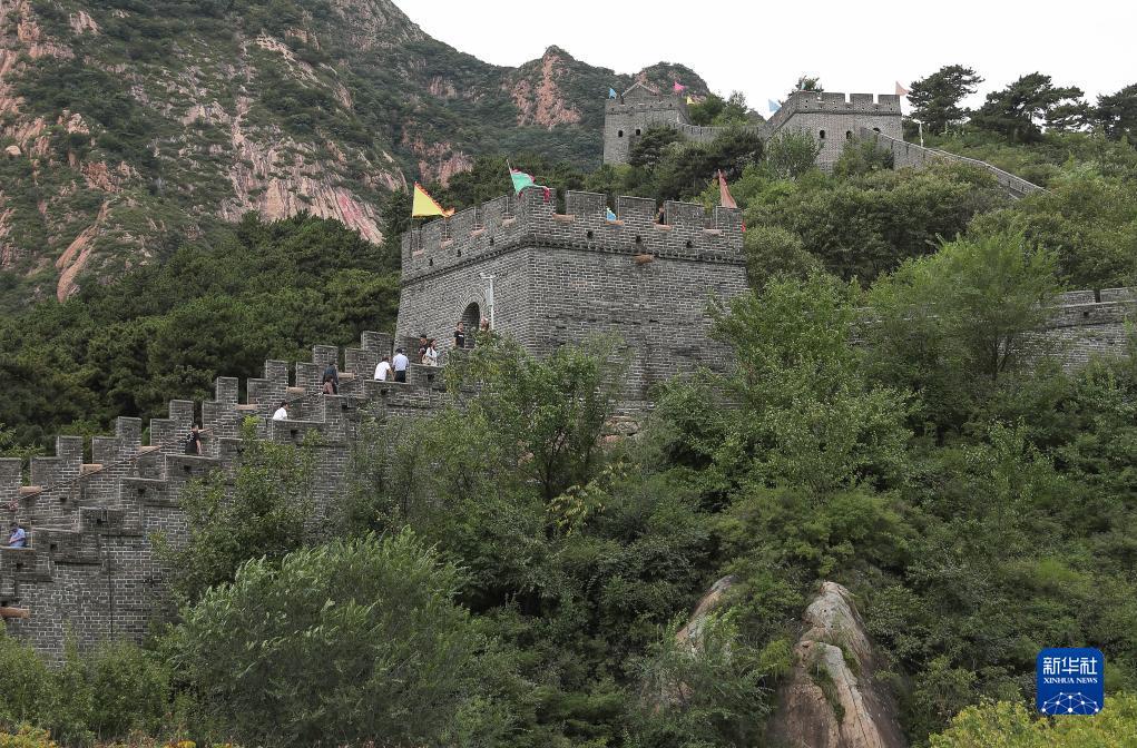 大丰收在线娱乐